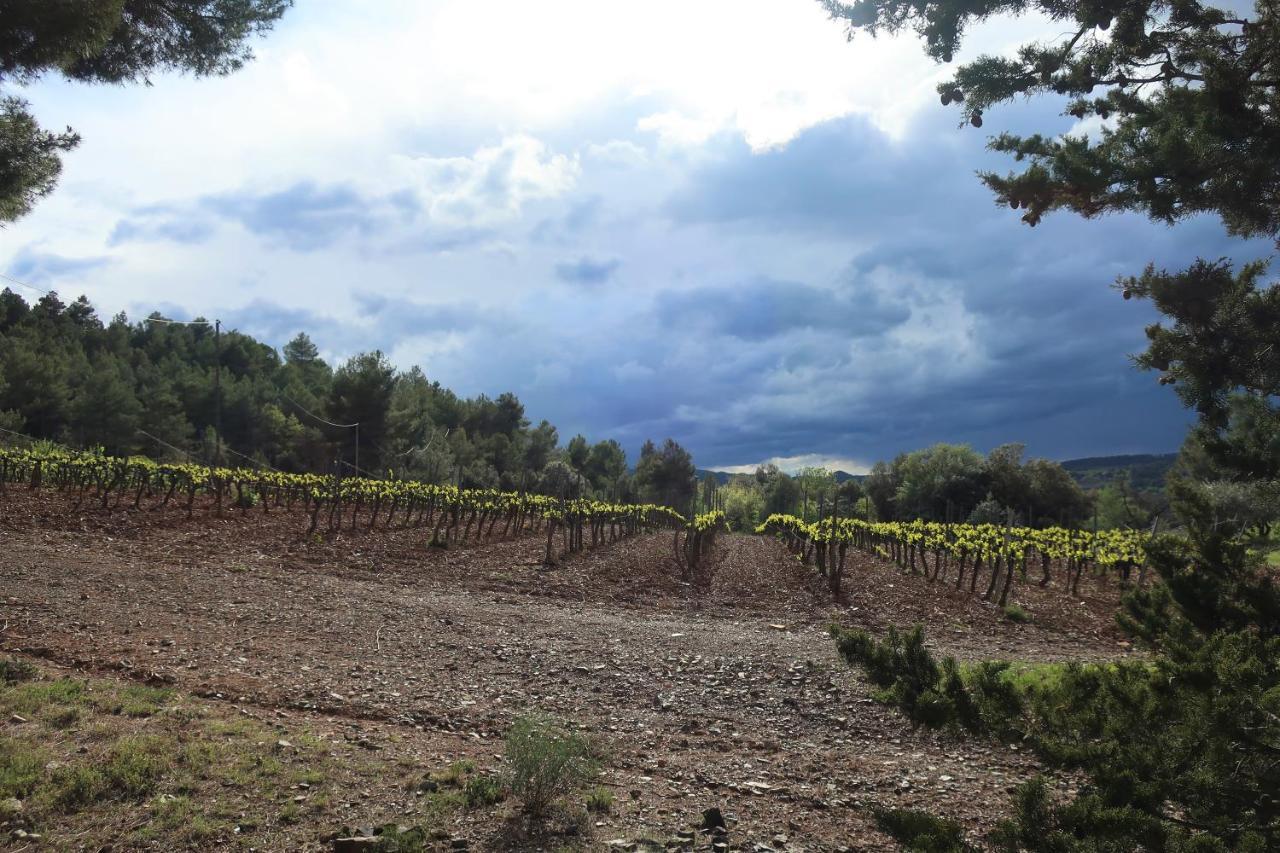 Masia Sagues Poblet Luaran gambar