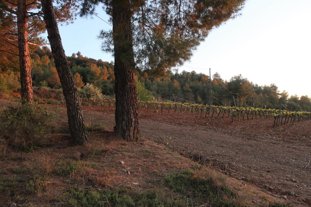 Masia Sagues Poblet Luaran gambar