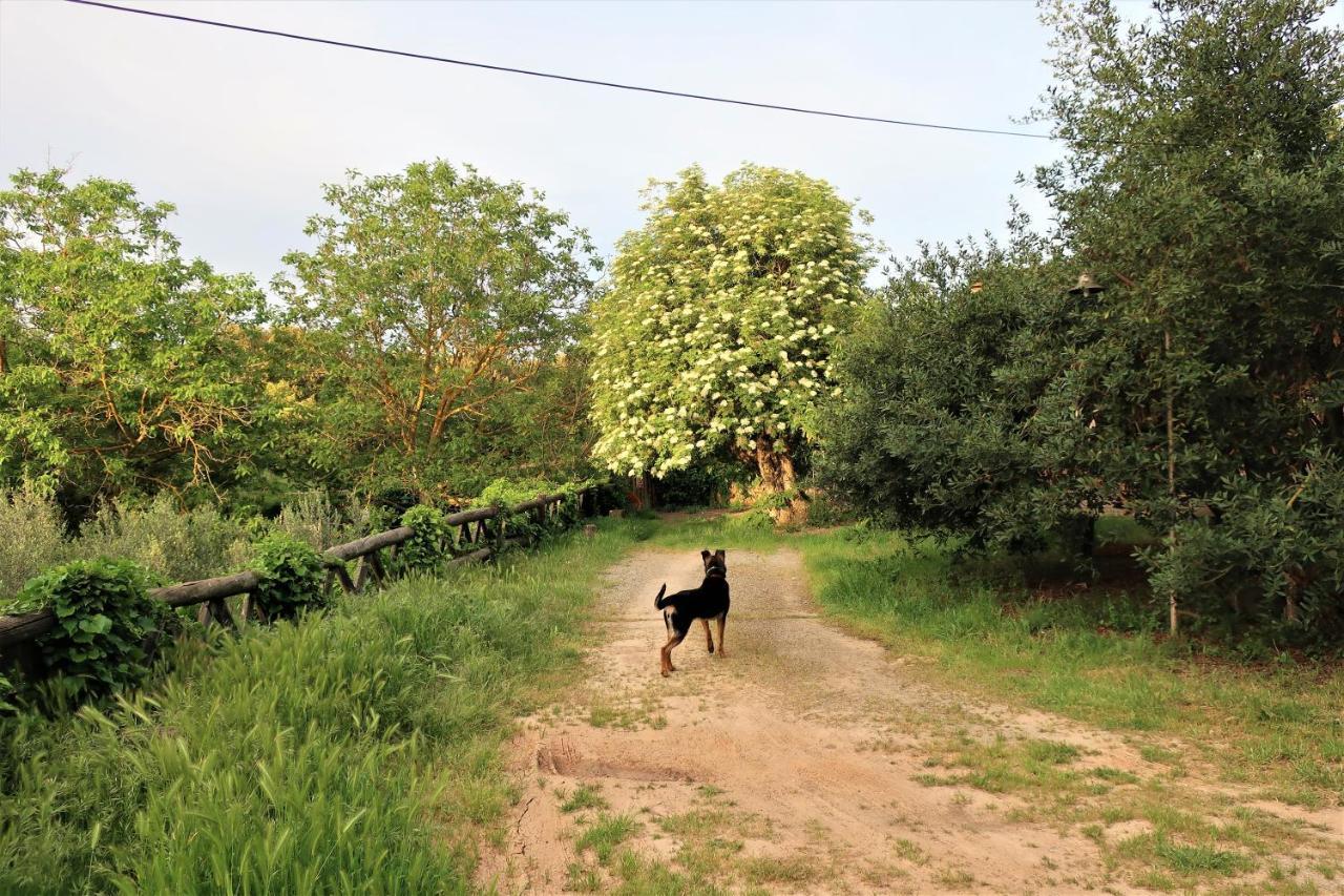 Masia Sagues Poblet Luaran gambar