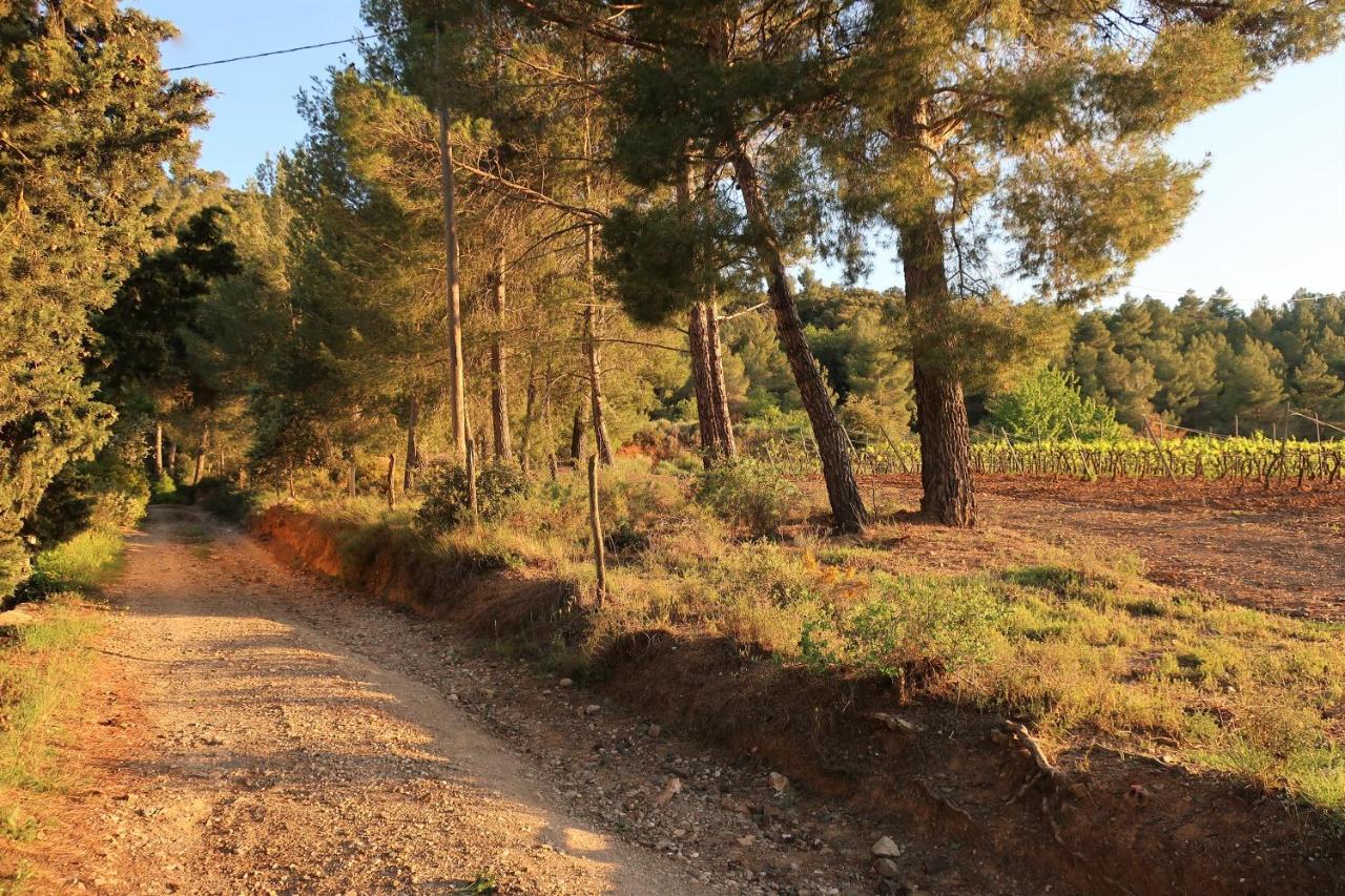 Masia Sagues Poblet Luaran gambar