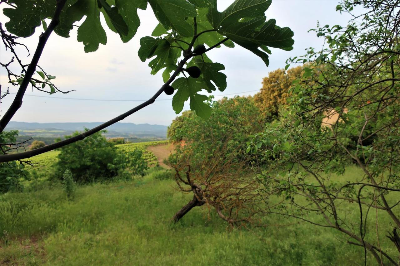 Masia Sagues Poblet Luaran gambar